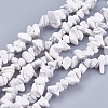 Natural Howlite Stone Bead Strands G-R192-15-1