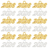 40Pcs 2 Colors Alloy Pendants FIND-SC0020-50-1