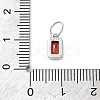 925 Sterling Silver Cubic Zirconia Charms STER-NH0014-01P-01-3