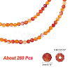 2 Strands Natural Carnelian Beads Strands G-NB0004-20-2