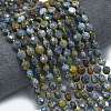 Natural Dumortierite Beads Strands G-K389-B50-01-2