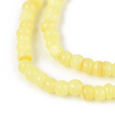 Natural Freshwater Shell Dyed Beads Strands SHEL-T020-29B-09-1