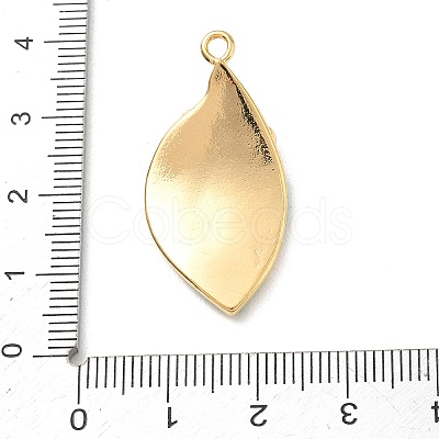 304 Stainless Steel Micro Pave Clear Cubic Zirconia Pendants STAS-F360-18G-1