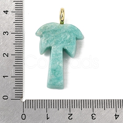 Natural Amazonite Carved Pendants G-C282-04D-1