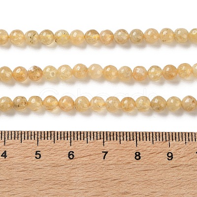 Natural Yellow Garnet Beads Strands G-Z129-C01-4mm-01-1