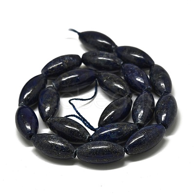 Natural Lapis Lazuli Beads Strands G-K311-11C-01-1