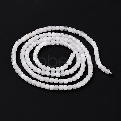 Natural Rainbow Moonstone Beads Strands G-K315-B08-1