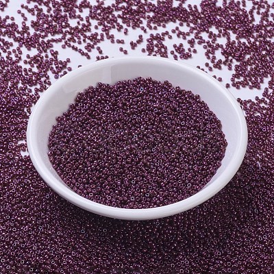 MIYUKI Round Rocailles Beads X-SEED-G007-RR0313-1
