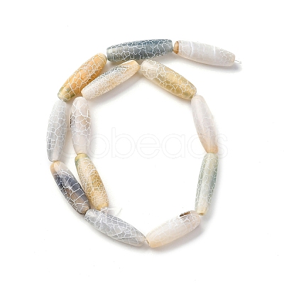 Natural Weathered Agate Beads Strands G-P570-C02-01-1