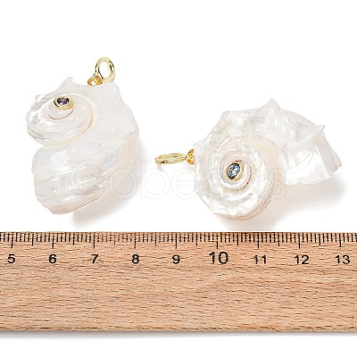 Natural Couch Shell Pendants SH-CBAB405-02G-1