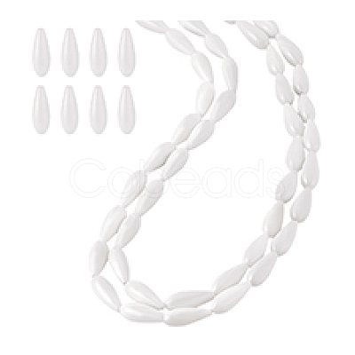 2 Strands Natural Freshwater Shell Beads Strands BSHE-PH0001-53-1