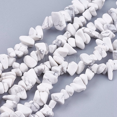 Natural Howlite Stone Bead Strands G-R192-15-1