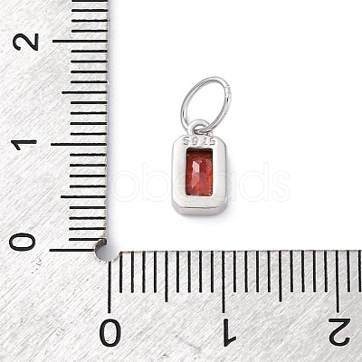 925 Sterling Silver Cubic Zirconia Charms STER-NH0014-01P-01-1