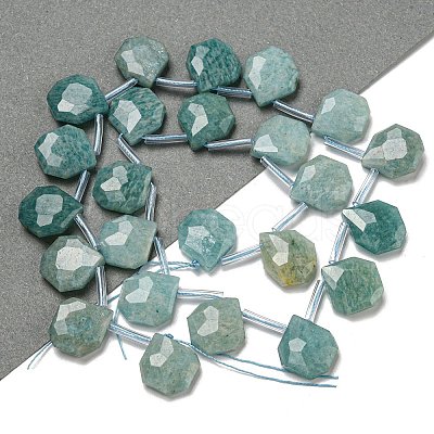 Natural Amazonite Beads Strands G-P544-C07-01-1