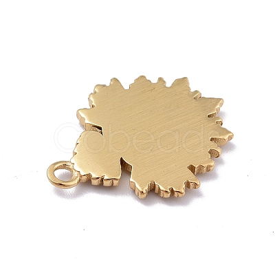 Ion Plating(IP) 304 Stainless Steel Pendants STAS-E187-05G-1