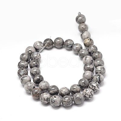 Natural Map Stone Beads Strands G-P075-15-10mm-1