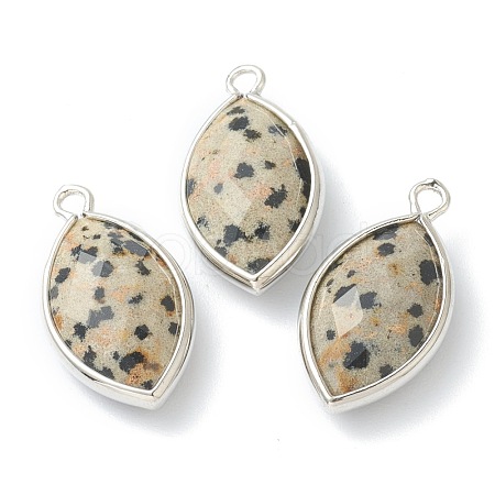 Natural Dalmatian Jasper Pendants G-B009-01P-B-1