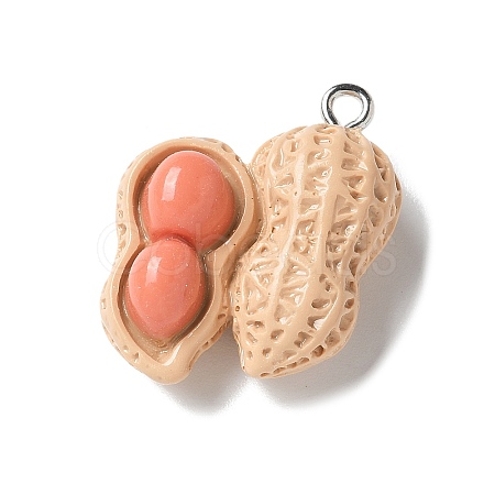 Resin Iron Pendants X1-RESI-D280-17-1