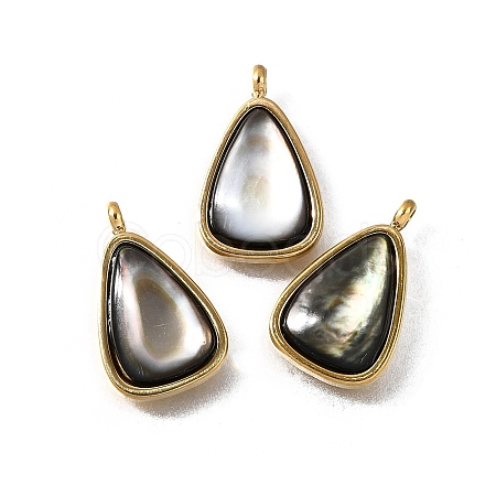 Natural Black Lip Shell Pendants STAS-F318-15G-1
