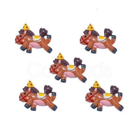 Resin Cabochons RESI-CJC0003-58-1