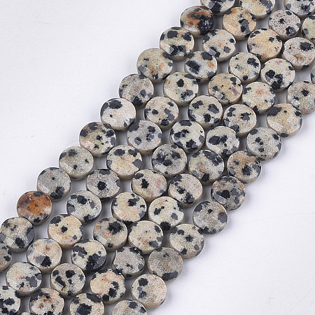 Natural Dalmatian Jasper Beads Strands G-S354-17-1