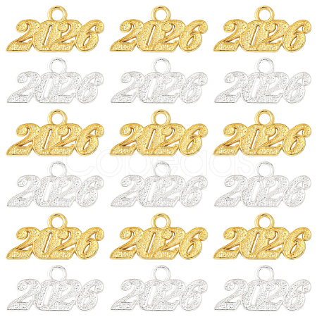 40Pcs 2 Colors Alloy Pendants FIND-SC0020-50-1