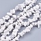 Natural Howlite Stone Bead Strands, Chip, White, 4~10x4~6x2~4mm, Hole: 1mm, about 210pcs/strand, 35.4 inch