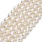 Natural Cultured Freshwater Pearl Beads Strands, Rice, Linen, 4~4.5x3~3.5mm, Hole: 0.5mm, about 81~82pcs/strand, 14.57''(37cm)