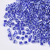 8/0 Two Cut Glass Seed Beads SEED-S033-10A-02-2
