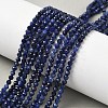 Natural Sodalite Beads Strands X-G-L622-C04-3mm-1
