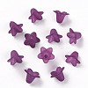 Transparent Acrylic Beads PLF018-16-2