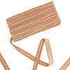 Polyester Braided Lace Trims WCOR-WH0001-04E-1