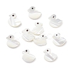 10Pcs Natural Trochid Shell/Trochus Shell Beads SHEL-CJ0001-31-1