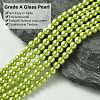 Grade A Glass Pearl Beads HY-J001-4mm-HX014-3