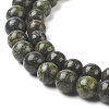 Natural Serpentine/Green Lace Stone Beads Strands G-S259-15-6mm-1-3