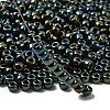 TOHO 3/0 Round Beads SEED-TR03-0084-4