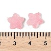 Imitation Candy Food Style Resin Cabochons X1-RESI-R461-02C-3