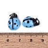 Handmade Lampwork Beads LAMP-R004-04-04-3