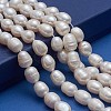 Natural Cultured Freshwater Pearl Beads Strands Rice A23TR011-5