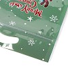 Christmas Theme Plastic Resealable Bags ABAG-Q053-07B-4