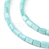 Natural Freshwater Shell Dyed Beads Strands SHEL-M018-12-06-3
