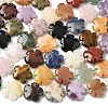 Mixed Natural Gemstone Flower Beads Strands G-L241A-07-2