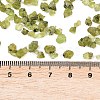 Natural Peridot Beads X-G-D363-A01-3