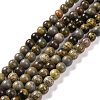 Natural Dendritic Jasper Beads Strands G-H1632-8MM-1