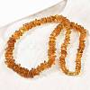 Natural Amber Chip Beaded Necklaces NJEW-L466-03A-1
