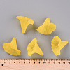 Transparent Acrylic Beads BSF796-C09-6