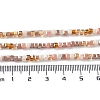 Gradient Color Electroplate Glass Bead Strands GLAA-E042-05-B06-5