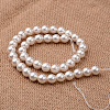 Polished Round Grade A Shell Pearl Bead Strands X-BSHE-M027-6mm-28-2