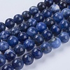 Natural Sodalite Beads Strands X-G-G515-10mm-07-1