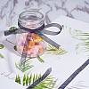 Organza Ribbon RS6mmY039-6